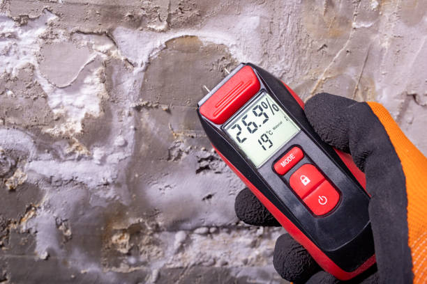 Best HVAC Mold Remediation in Las Lomas, TX